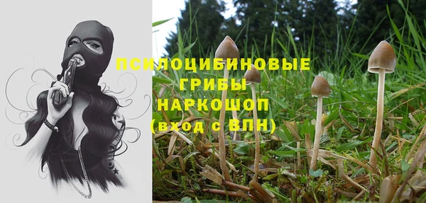 дмт Кулебаки