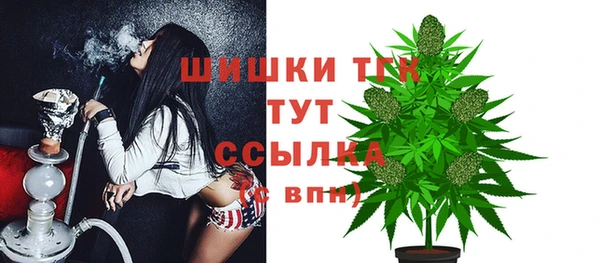 дмт Кулебаки