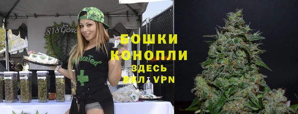 ALPHA PVP Куйбышев