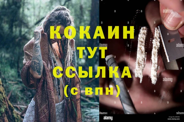 дмт Кулебаки