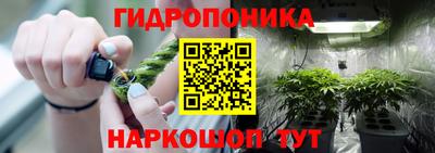 spice Жуковский