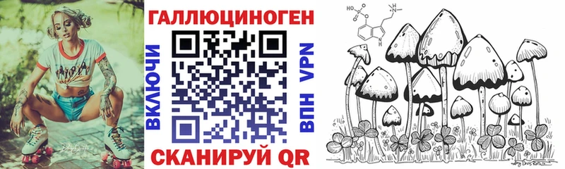 Галлюциногенные грибы Magic Shrooms  купить наркотики сайты  Малгобек 