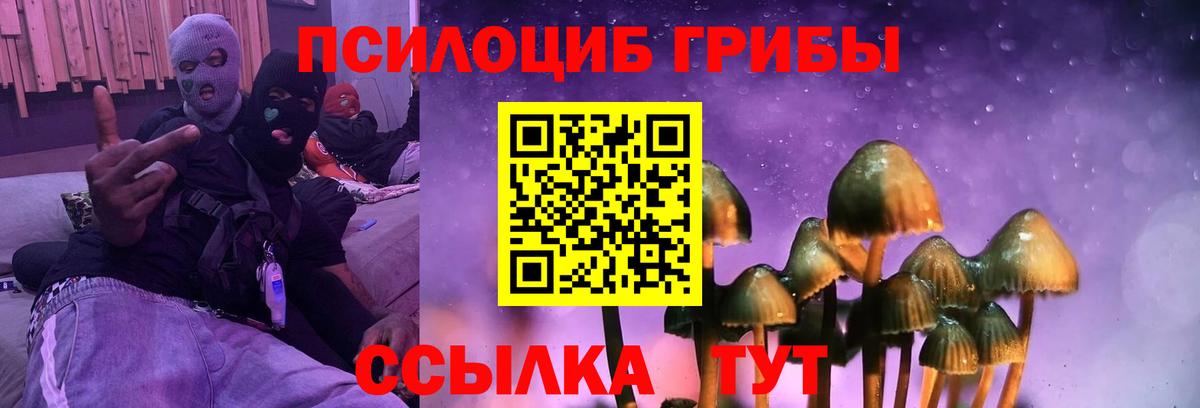 Галлюциногенные грибы Magic Shrooms  Псилоцибиновые грибы GOLDEN TEACHER  Малгобек  Вход с VPN 